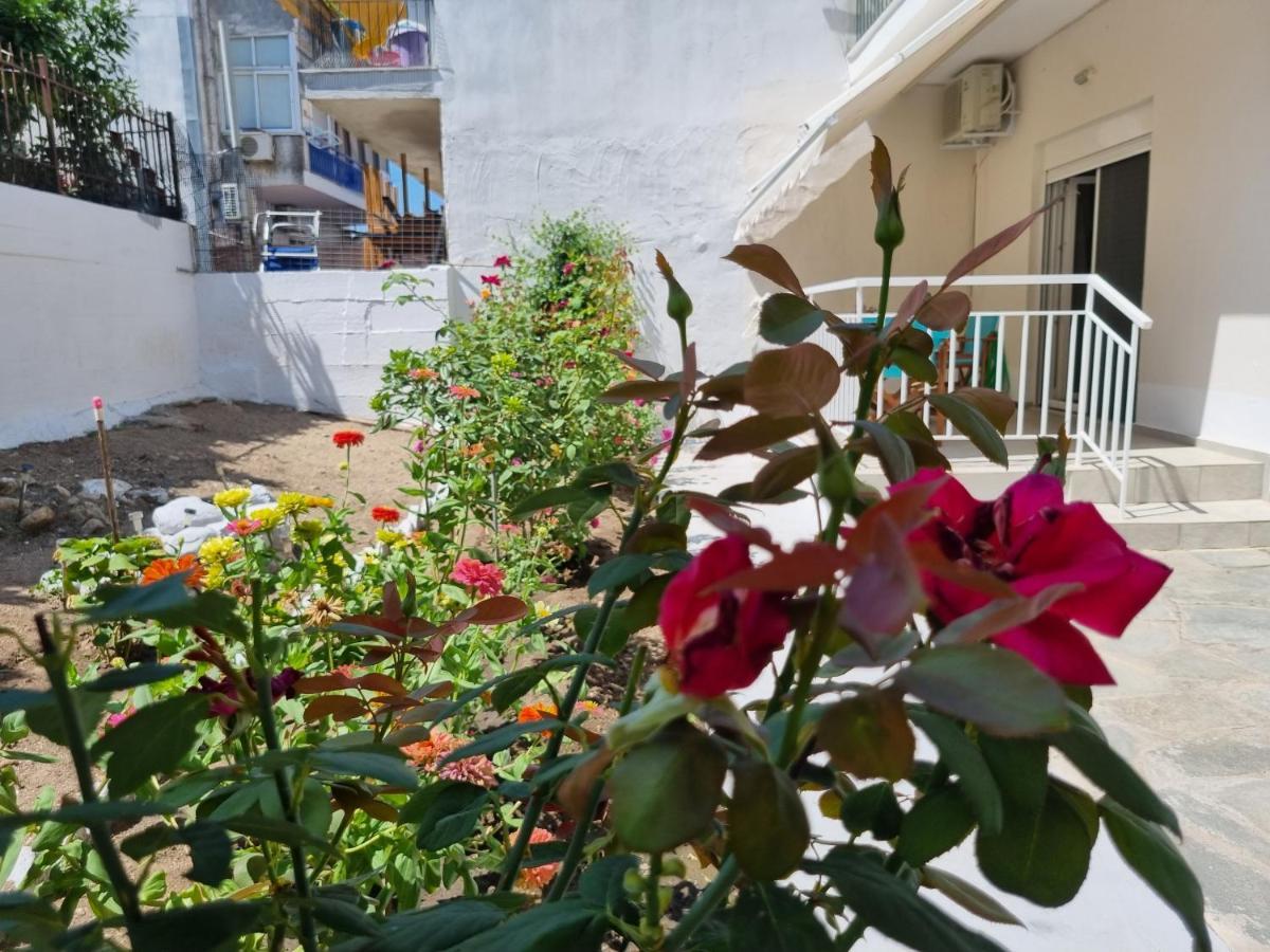 Cosy And Modern Appartment In Olympiada Ngoại thất bức ảnh